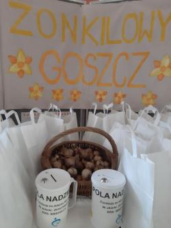 Pola Nadziei
